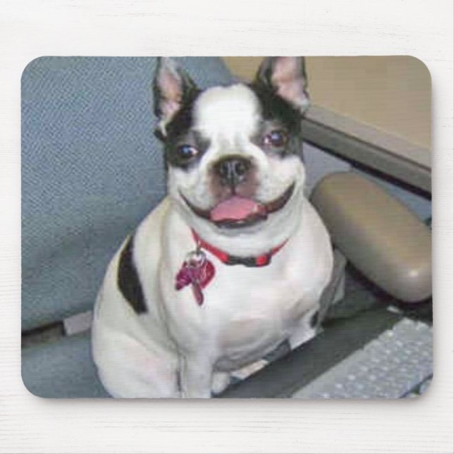 Boston at the Computer Mousepad (Front)