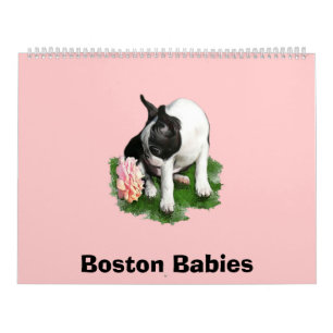 Boston Babies 2 Calendar