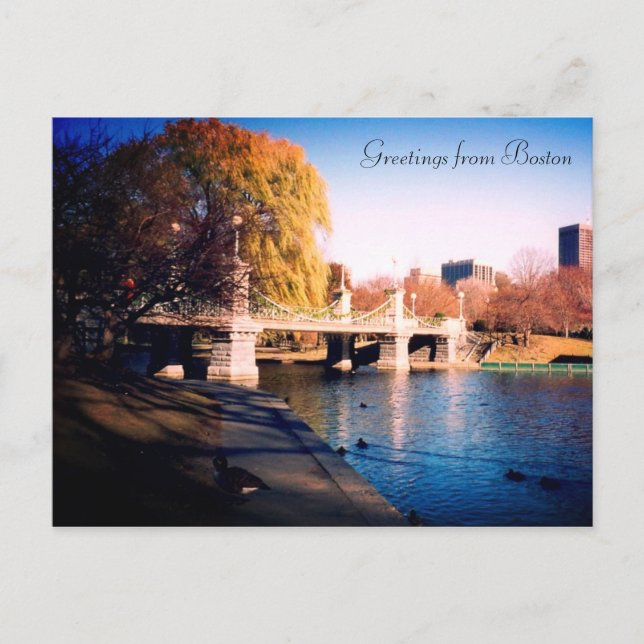 boston common bridge postcard (Front)