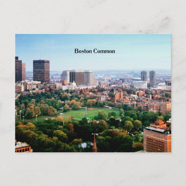 Boston Common, public park, Postcard (Front)