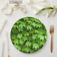 Boston Ivy Paper Plate