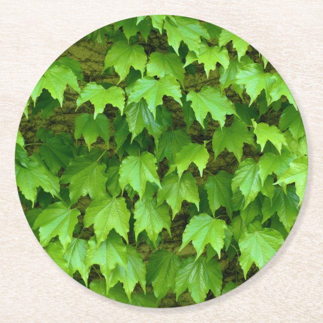 Boston Ivy Round Paper Coaster (Front)