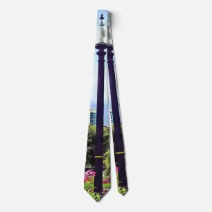 Boston MA - Boston Common and Skyline Tie