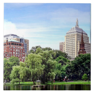 Boston MA - View From Boston Public Garden Tile