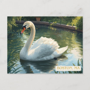 Boston, Mass. Public Garden Swan Postcard