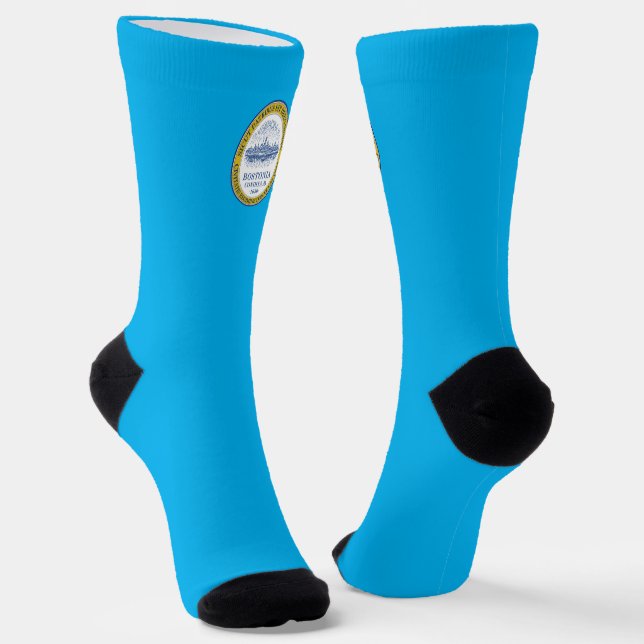 Boston (Massachusetts) city flag   Socks (Angled)