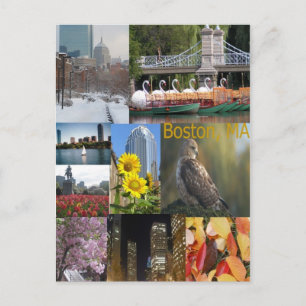 Boston, Massachusetts Postcard