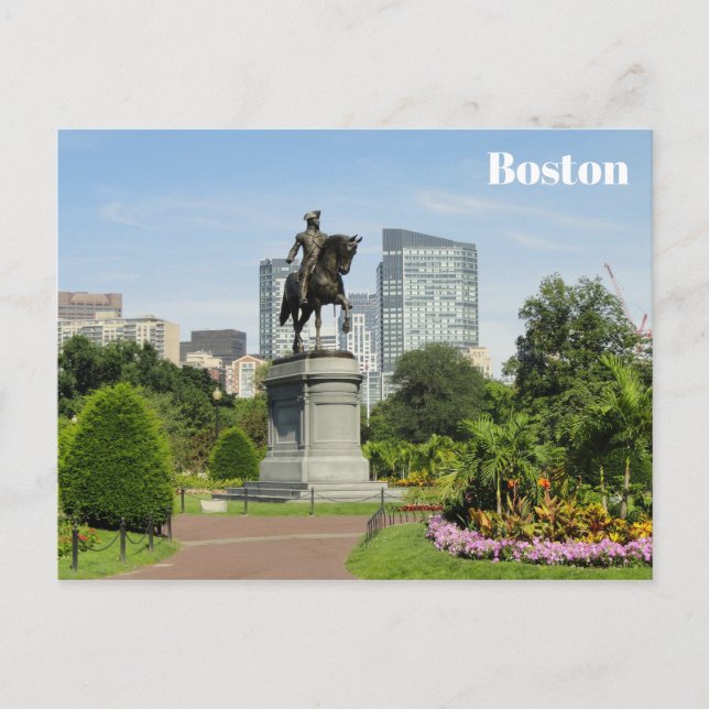 Boston Massachusetts Public Garden Travel Photo Postcard (Front)