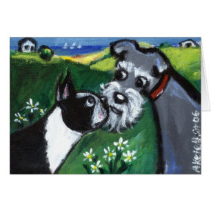 boston meets schnauzer