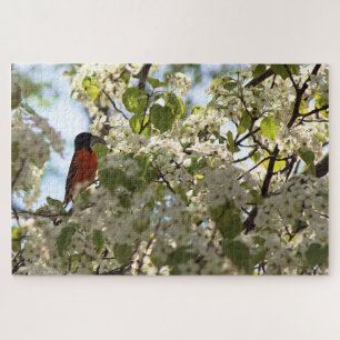 Boston Oriole Jigsaw Puzzle