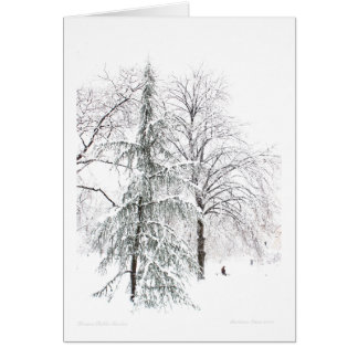 Boston Public Garden