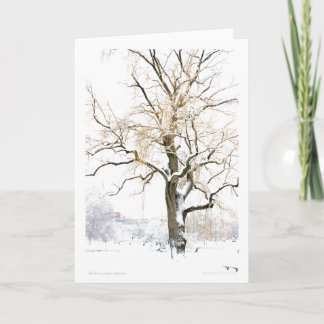 Boston Public Garden: add your greeting Card