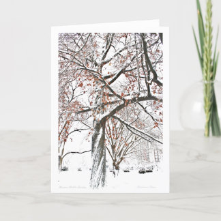 Boston Public Garden Holiday Card