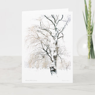 Boston Public Garden Holiday Card