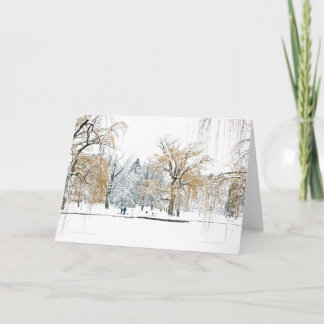 Boston Public Garden Holiday Card