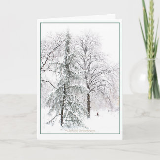 Boston Public Garden: Holiday Yuletide Card