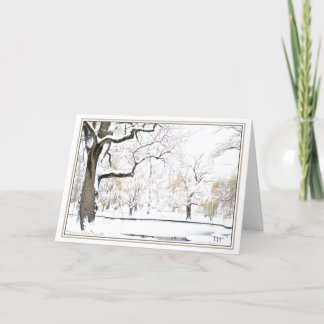 Boston Public Garden:Simple Pleasures of theSeason Holiday Card