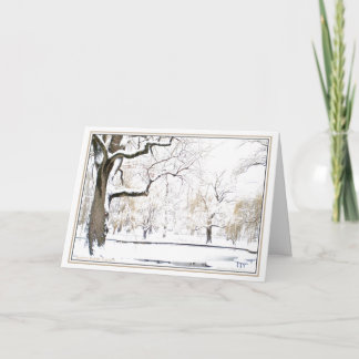 Boston Public Garden:Simple Pleasures of theSeason Holiday Card