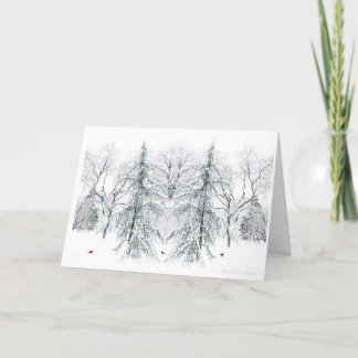 Boston Public Garden:Simple Pleasures of theSeason Holiday Card