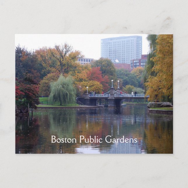 Boston Public Gardens Postcard (Front)