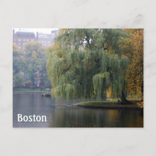 Boston Public Gardens Postcard