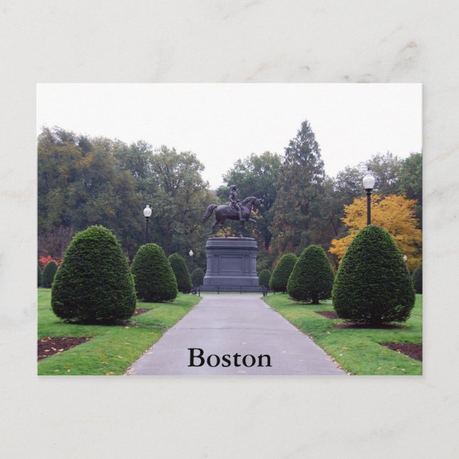 Boston Public Gardens Postcard (Front)