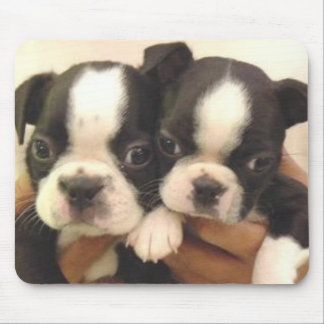 Boston Pups Mousepad