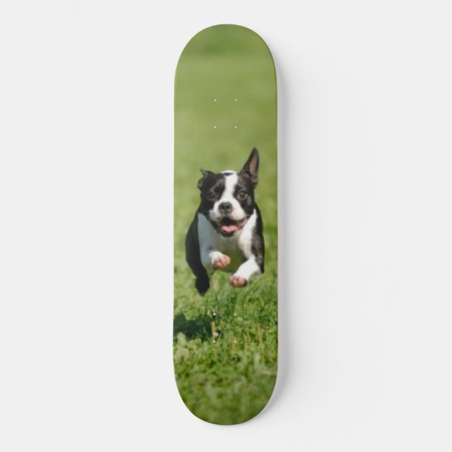 Boston Running Skateboard (Front)