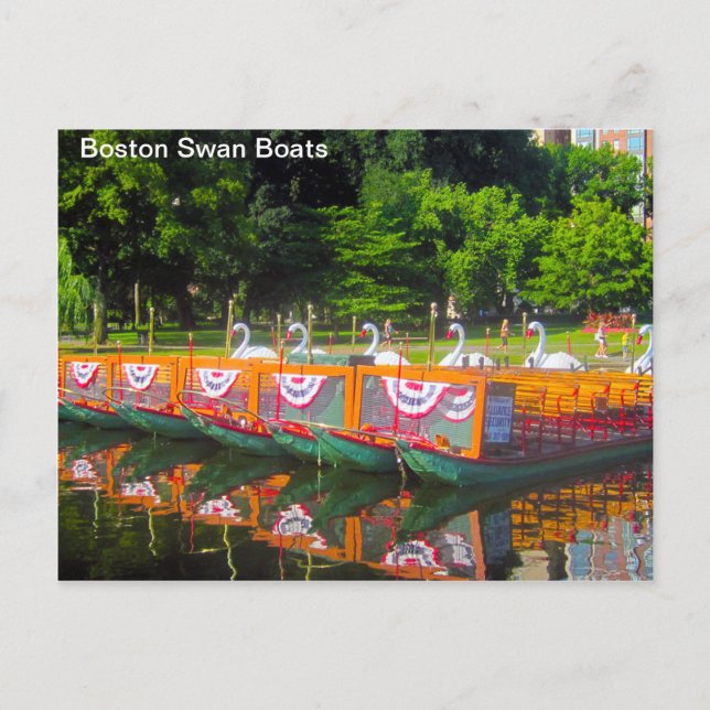 Boston Swan Boats Postcard (Front)