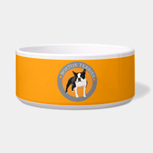 Boston Terrier