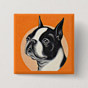 Boston terrier 15 cm square badge