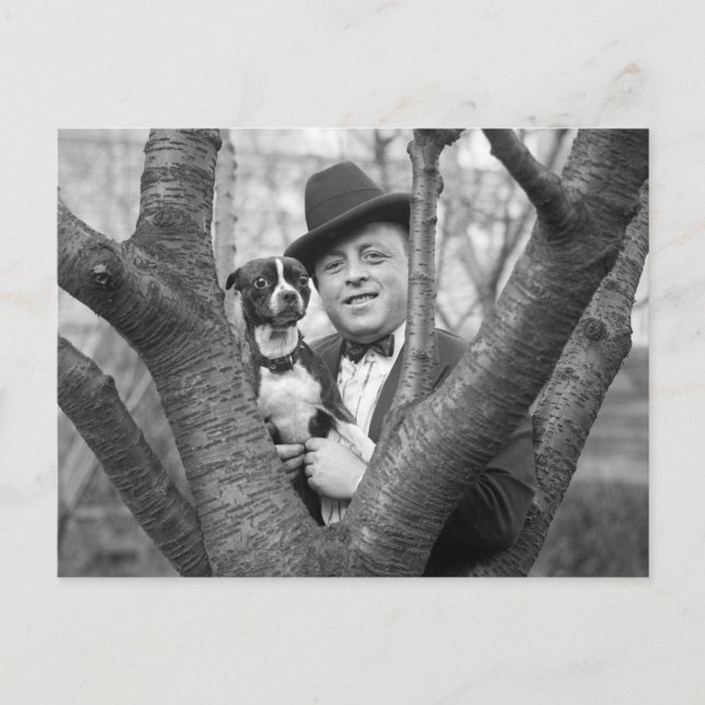 Boston Terrier, 1920s Postcard (Front)