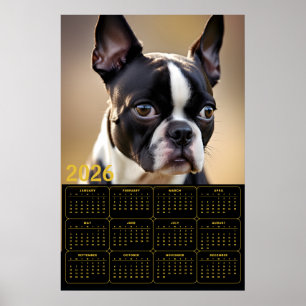 Boston Terrier 2026 Calendar Poster