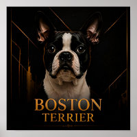 Boston Terrier American Classic Collection