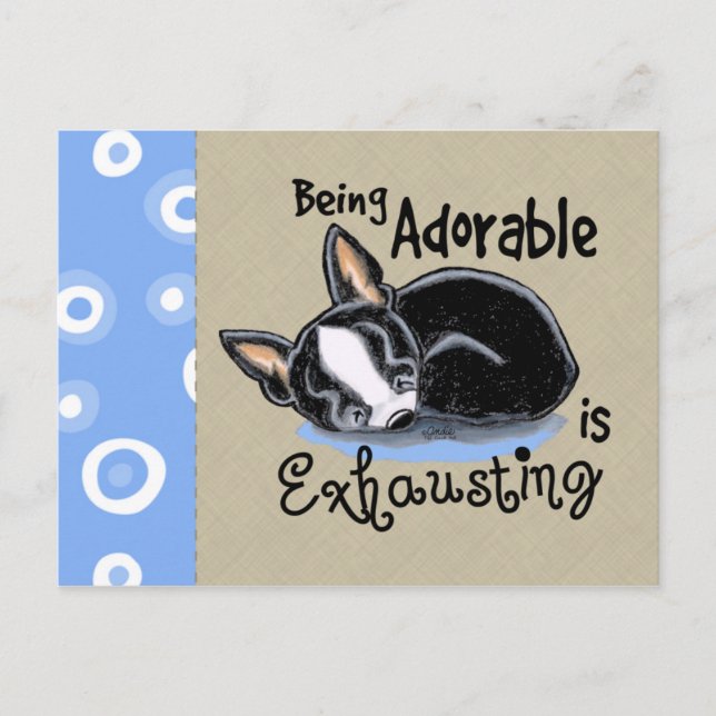 Boston Terrier Being Adorable Postcard (Front)