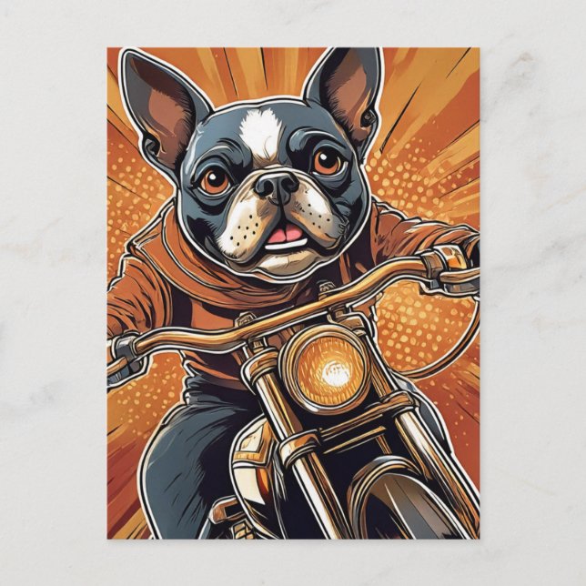 Boston terrier Biker  Postcard (Front)