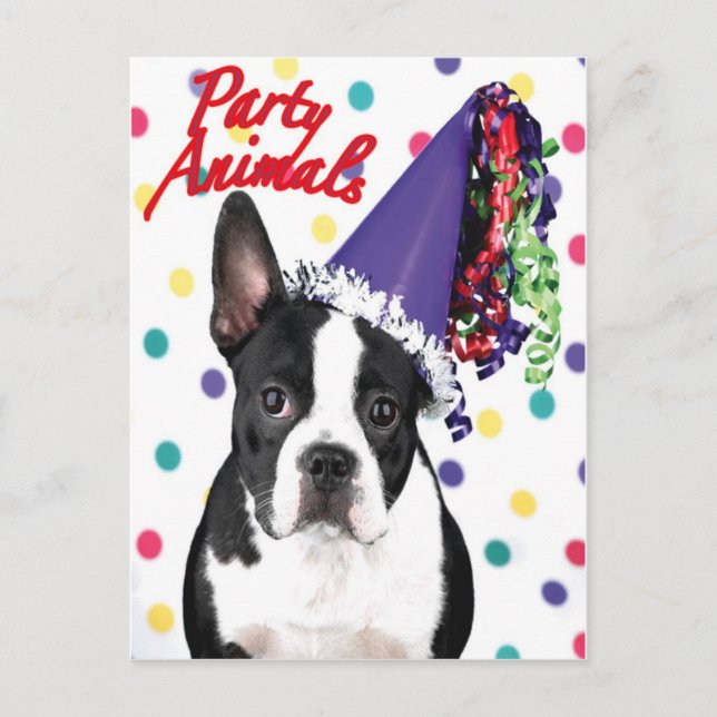 Boston Terrier Birthday Card (Front)