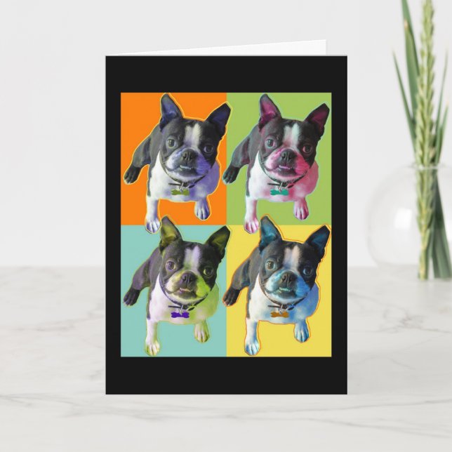 Boston Terrier Birthday Card (Front)