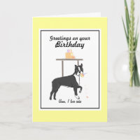 Boston Terrier Birthday card