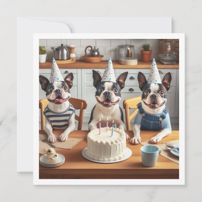 Boston Terrier birthday card, Boston terrier  Invitation (Front)