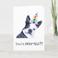 Boston Terrier Birthday Party - Card