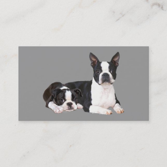 Boston Terrier Breeder Business Card (Front)