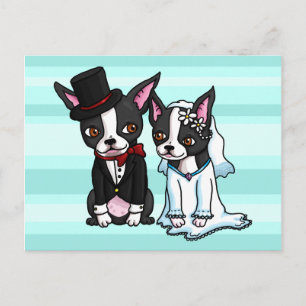 Boston Terrier Bride and Groom Postcard