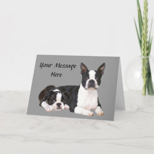 Boston Terrier Buddies Greeting Card
