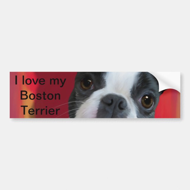 Boston Terrier Bumper Sticker (Front)