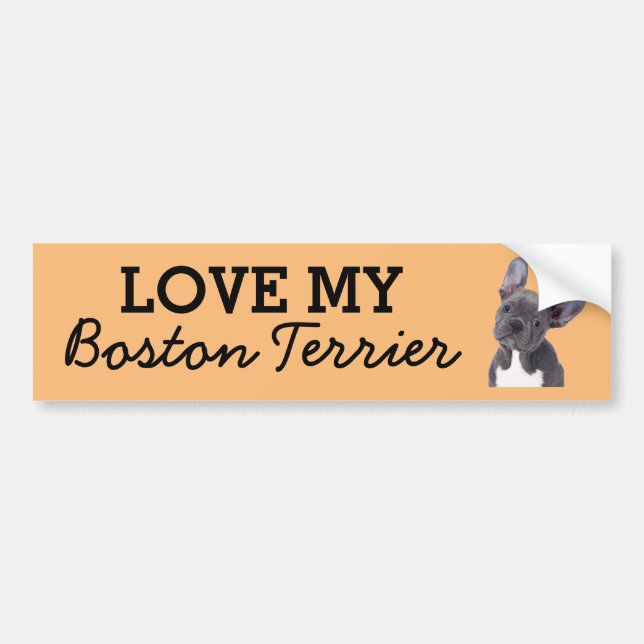 Boston Terrier bumper sticker (Front)