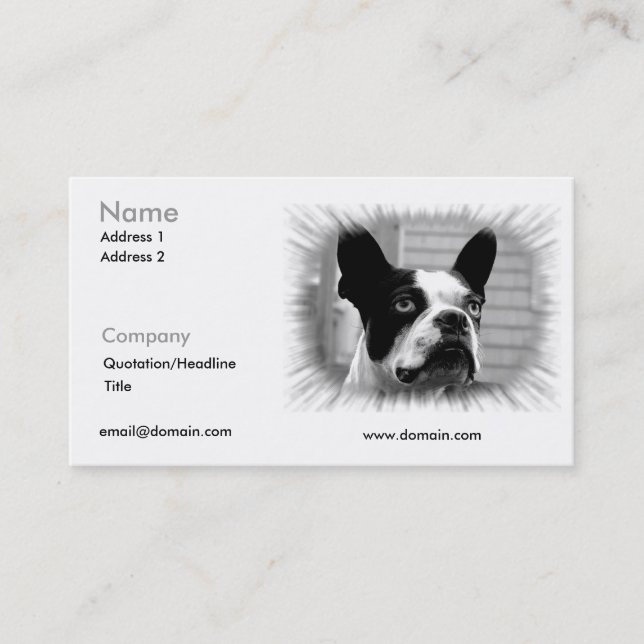 Boston Terrier Business Card (Front)