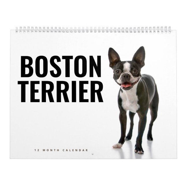 Boston Terrier Calendar (Cover)