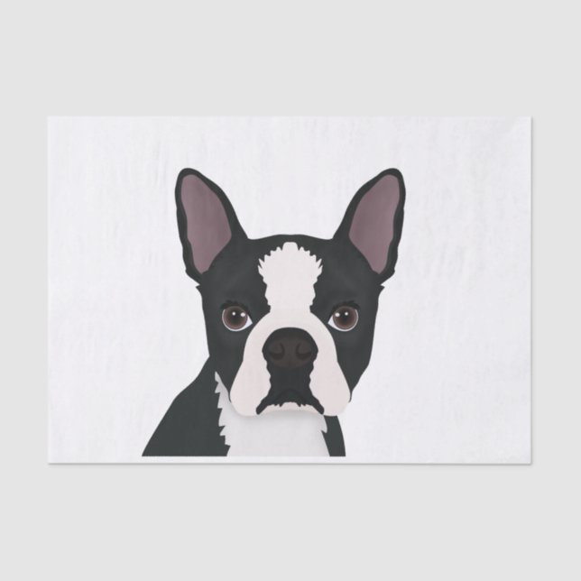 boston terrier cartoon tissue paper (Front)