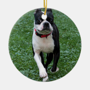 Boston terrier ceramic tree decoration